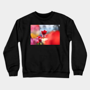 Red in my garden Crewneck Sweatshirt